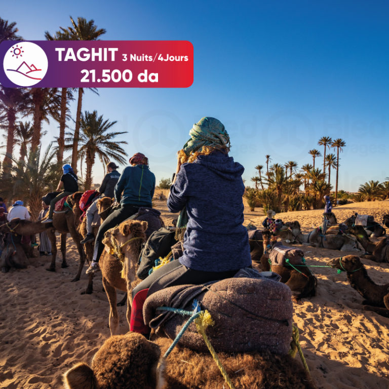voyage organise taghit ouedkniss